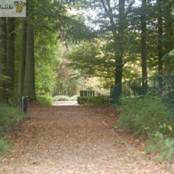 dsc 0521 - Sportraad Zaventem 